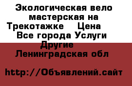 Экологическая вело мастерская на Трекотажке. › Цена ­ 10 - Все города Услуги » Другие   . Ленинградская обл.